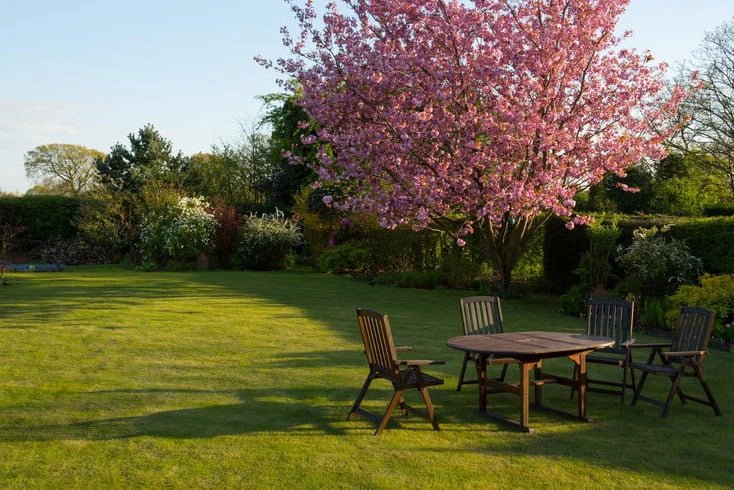 Choosing the Best Grass for Shaded Areas: A Complete Guide - Soildrops