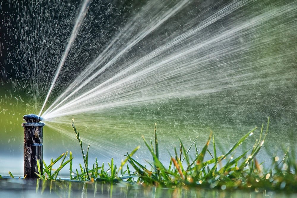 Don't Let Leaks Drain Your Wallet: How to Find an Irrigation System Leak - Soildrops