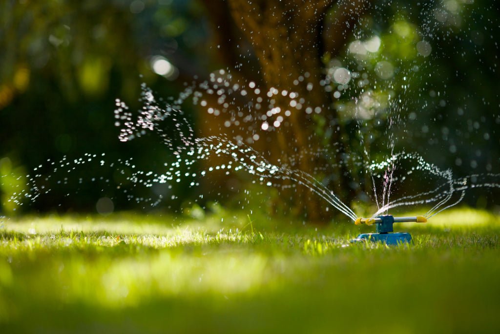 Fall is the Best Time to Install a Sprinkler System: Here’s Why - Soildrops