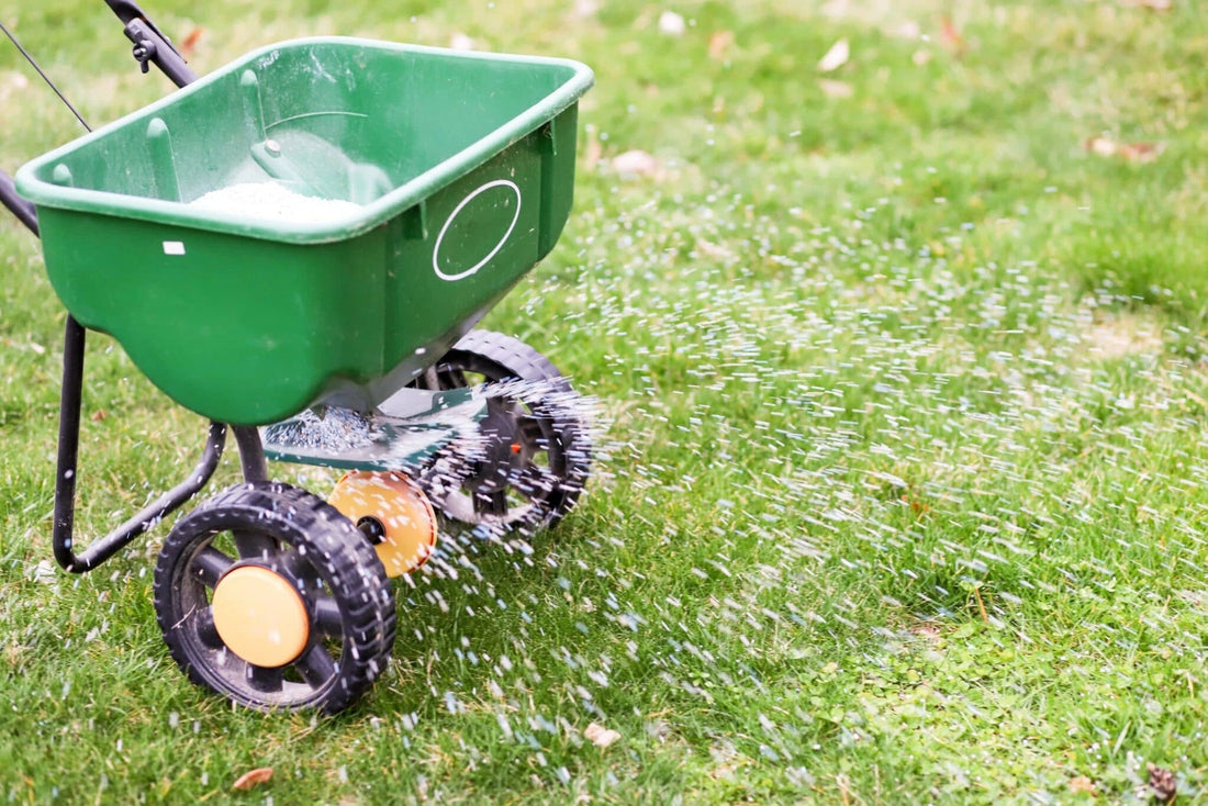 Fertilizing Grass Lawns like a Pro: A Homeowner's Guide to Doing it Right - Soildrops