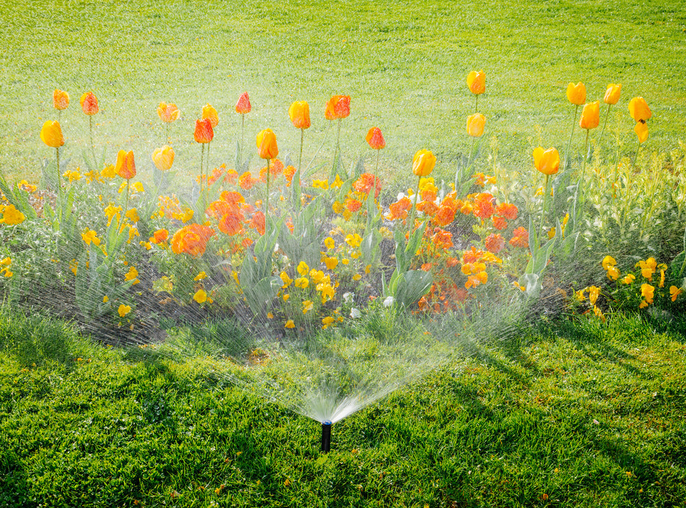 A flourishing garden with sprinklers in operation, showcasing an efficient irrigation system for your home. The sprinklers distribute water evenly, nurturing the vibrant plants and maintaining a healthy and beautiful garden setting.