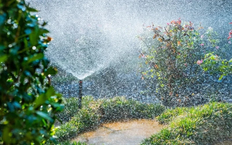 An image of a garden sprinkler watering the lush green plants with a fine spray of water.