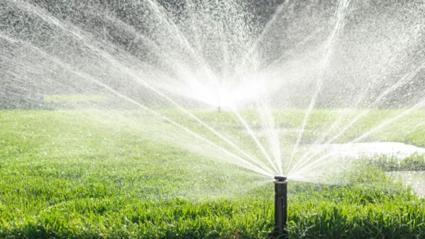 Lawn sprinkler watering lush green lawn
